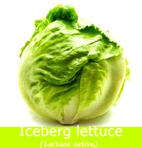 0.17 Head Iceberg Lettuce, Raw