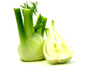 0.33 Bulb Fennel, Raw