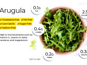 1 1/2 Cups Arugula, Raw