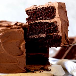 1 1-layer Cake Serving (8" Or 9" Dia, 1-1/2" High) Chocolate Cake with Mayonnaise or Salad Dressing without Icing