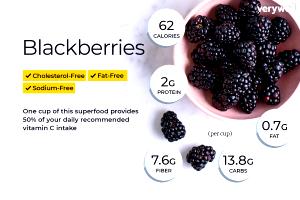 1 10 Blackberries Serving Blackberries (Cooked or Canned)