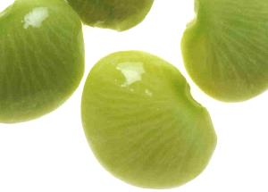 1 10 Oz Frozen Package Yields Cooked Immature Lima Beans (from Frozen, Fat Added in Cooking)