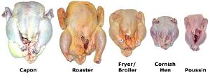 1/2 Chicken, Bone Removed Chicken Dark Meat and Skin (Broilers or Fryers)