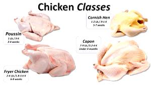 1/2 Chicken, Bone Removed Chicken Meat and Skin (Broilers or Fryers)