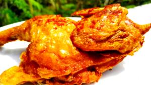 1/2 Chicken Chicken Parts, Fried