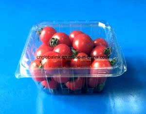 1/2 container (51.5 g) Tomato & Basil Chow Pasta