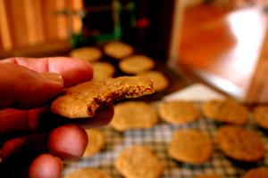 1/2 Cookie Autumn Spice Cookie