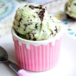 1/2 cup (102 g) Mint Chip Ice Cream