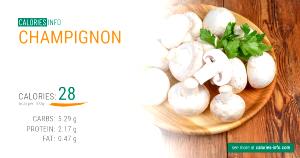 1/2 cup (120 g) Champignon & Porcini Mushroom Sauce