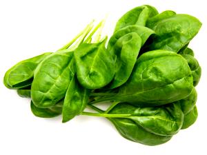 1/2 cup (121 g) Leaf Spinach