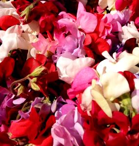 1/2 cup (125 g) Mixed Sweet Peas