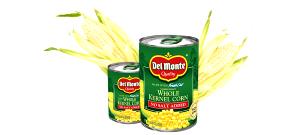 1/2 cup (125 g) Sweet Golden Whole Kernel Corn (No Salt Added)