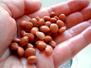 1/2 cup (127 g) Pinquitos Pink Beans