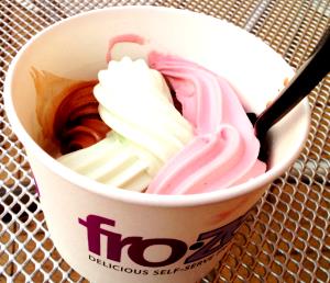 1/2 cup (4 oz) Non Fat Frozen Yogurt