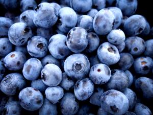 1/2 cup (63 g) Slow Churned Maine Blueberries & Cream