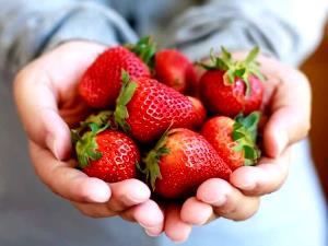 1/2 cup (65 g) Strawberries & Cream Ice Cream