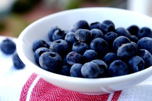 1/2 cup (66 g) Maine Blueberry & Sweet Cream Ice Cream