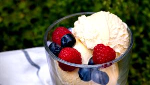 1/2 cup (69 g) Classic Vanilla Bean Frozen Yogurt
