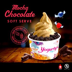 1/2 cup (84 g) Coffee Greek Frozen Yogurt
