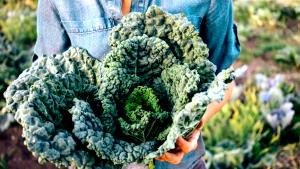 1/2 cup (85 g) Winter Vegetables