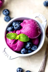 1/2 Cup Blueberry Tart Frozen Yogurt