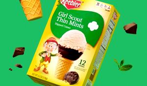 1/2 Cup Ice Cream, Fun Flavors, Girls Scouts Thin Mint Cookie