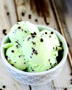 1/2 Cup Ice Cream, Mint Chip