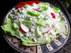 1/2 Cup Cottage Cheese, 1% Mf, Garden Salad