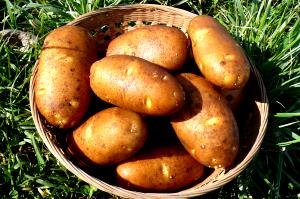 1/2 Cup Diced Potato (Flesh and Skin)