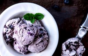 1/2 cup Frozen Tangy Lowfat Frozen Yogurt - Blueberry