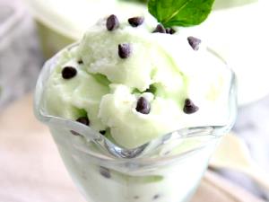 1/2 cup Mint Chocolate Chip Frozen Yogurt