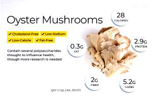 1/2 Cup Mushrooms, Oyster