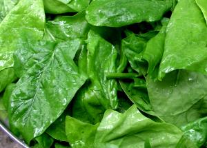 1/2 Cup Spinach (Hopped or Leaf Frozen, Without Salt, Drained, Cooked, Boiled)