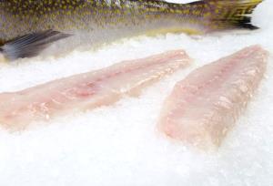 1/2 Fillet Tilefish, Raw