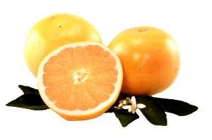 1/2 Fruit (3-3/4" Dia) Florida White Grapefruit