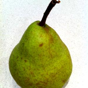 1/2 Pear Pears