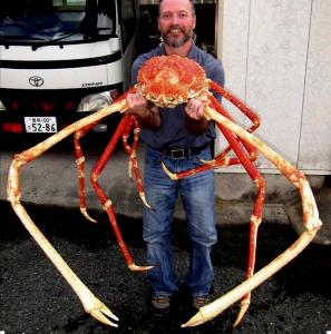 1 3-12" Leg Crab