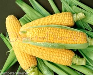 1/3 cup (85 g) Border Blend Corn