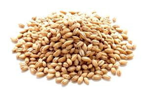 1/4 cup (40 g) Pearl Barley