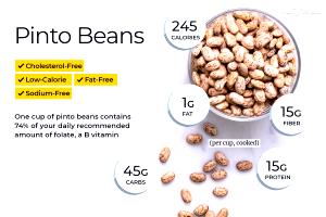 1/4 cup (45 g) Pinto Beans