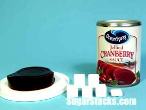 1/4 cup (70 g) Jellied Cranberry Sauce