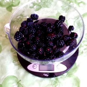 1/4 Cup Blackberry