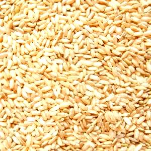 1/4 Cup Brown Rice, Golden Rose, Dry