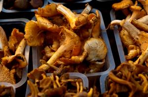 1/4 Cup Chanterelles, Pfifferlinge, Dried