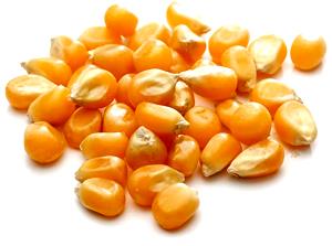 1/4 cup dry (35 g) Yellow Corn Kernels