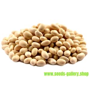 1/4 cup dry (49 g) Navy Beans