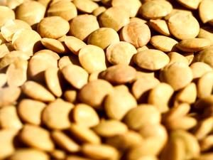 1/4 cup dry (50 g) Lentils