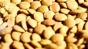 1/4 cup dry (52 g) Lentil Trio