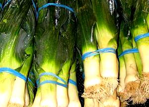 1/4 Cup Leeks (Bulb and Lower-Leaf) (Freeze-Dried)