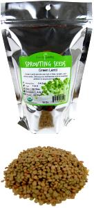 1/4 Cup Lentils, Green, Dry